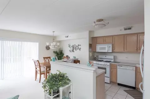 407 Swan Dr #2C, Dyer, IN 46311 photo 9