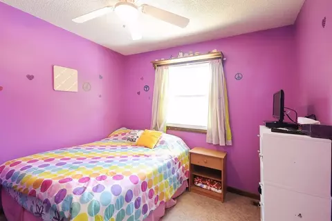 10319 N 477, De Motte, IN 46310 photo 7