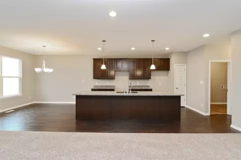 9012 Finley Ct, Cedar Lake, IN 46303 photo 4