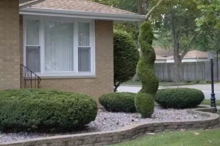7921 Monroe Ave, Munster, IN 46321 photo 3