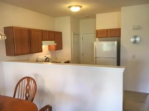 1750 Springtime Ct, Dyer, IN 46311 photo 5