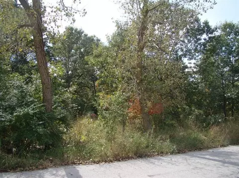 7421 E 1st Ave, Gary, IN 46303 photo 1