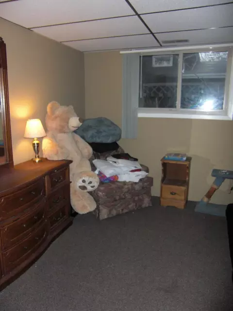 1229 Cedar Ln, Dyer, IN 46311 photo 10