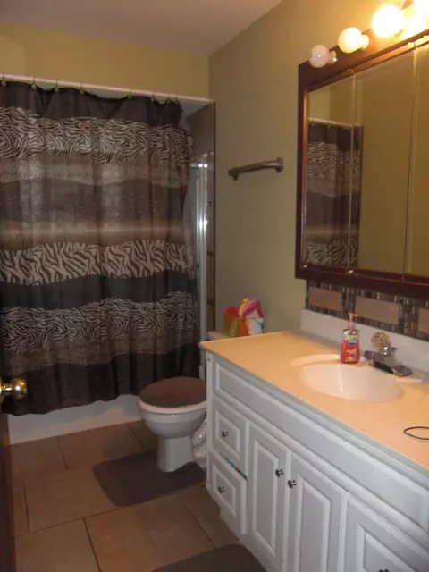 1229 Cedar Ln, Dyer, IN 46311 photo 7