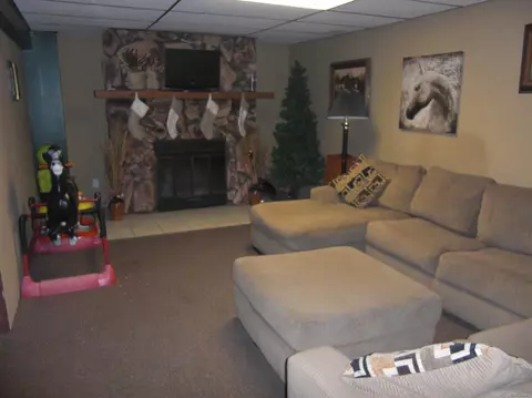1229 Cedar Ln, Dyer, IN 46311 photo 9