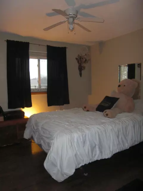 1229 Cedar Ln, Dyer, IN 46311 photo 8