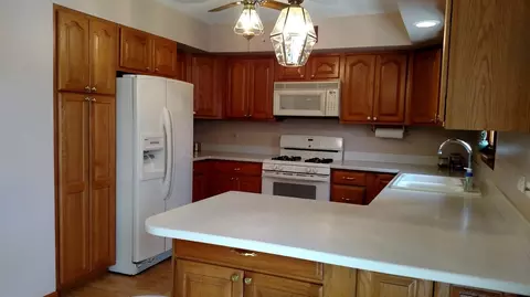 715 Cherry Hill Rd, Dyer, IN 46311 photo 5