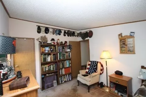10378 N 583, De Motte, IN 46310 photo 19