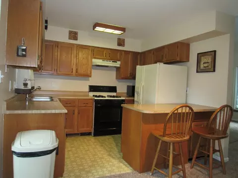 1863 Springvale Dr, Crown Point, IN 46307 photo 4