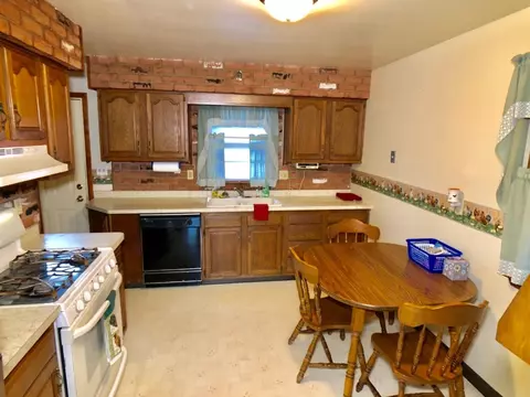 221 W 40th Pl, Griffith, IN 46319 photo 3
