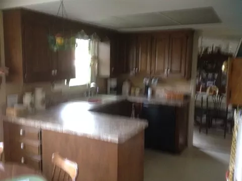 650 E Pine St, Griffith, IN 46319 photo 8