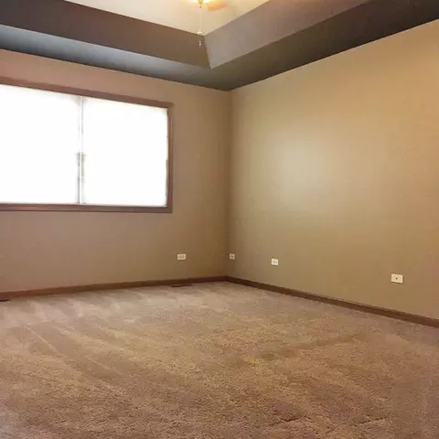 15955 100th Pl, Dyer, IN 46311 photo 9