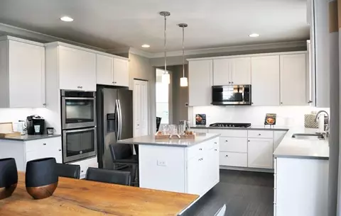 10303 Adler Cv, Saint John, IN 46373 photo 5