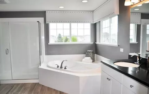 10303 Adler Cv, Saint John, IN 46373 photo 13