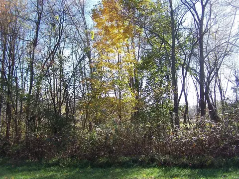 1601 S Cline Ave, Griffith, IN 46319 photo 38