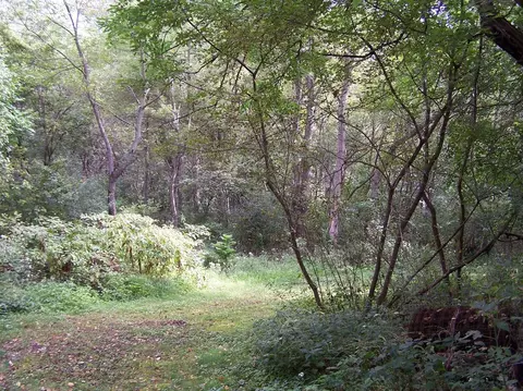 1601 S Cline Ave, Griffith, IN 46319 photo 13