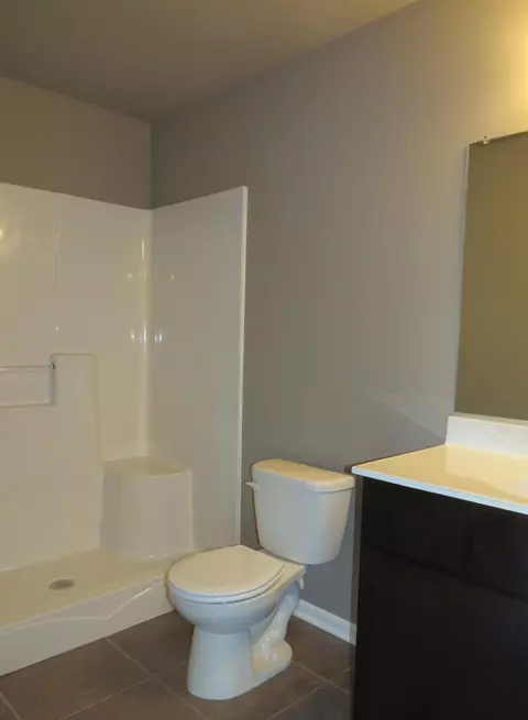 9705 W 150th Ct, Cedar Lake, IN 46303 photo 58