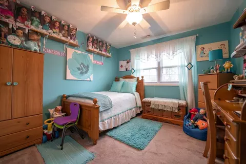 424 Fairview Ave, Crown Point, IN 46307 photo 14