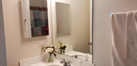 11179 Ohio St, Crown Point, IN 46307 photo 34