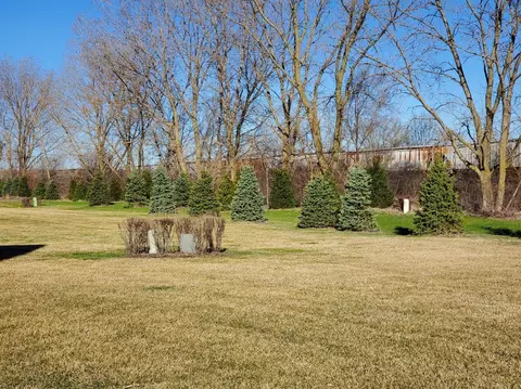 1732 Springtime Ct, Dyer, IN 46311 photo 28