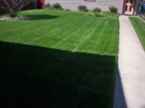 645 Burton Ct, Whiting, IN 46394 photo 21