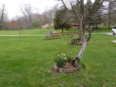 4996 N 425, Rolling Prairie, IN 46371 photo 25