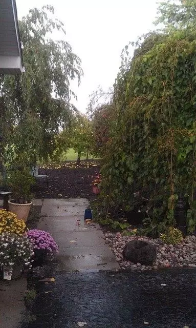 4500 E 113th Ave, Crown Point, IN 46307 photo 5