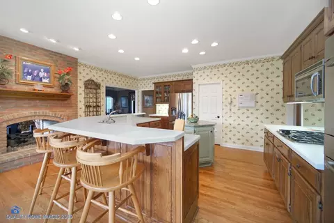 1024 Tryall Ln, Dyer, IN 46311 photo 16