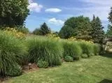 9873 E Oakridge Dr, Saint John, IN 46373 photo 26