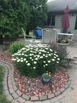 9873 E Oakridge Dr, Saint John, IN 46373 photo 28