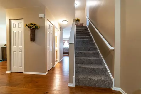 25911 Derby, Monee, IL 60449 photo 9