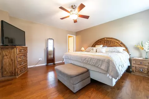 25911 Derby, Monee, IL 60449 photo 10