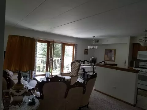 903 Swan Dr #1-D, Dyer, IN 46311 photo 9