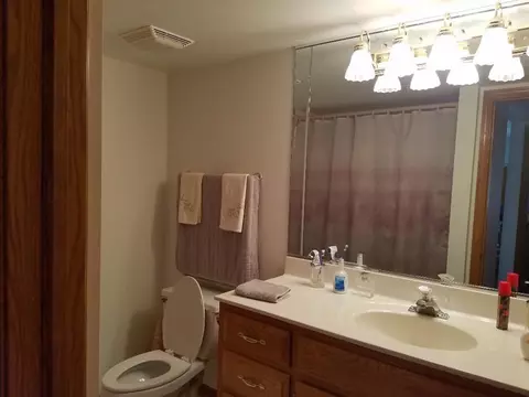 903 Swan Dr #1-D, Dyer, IN 46311 photo 10