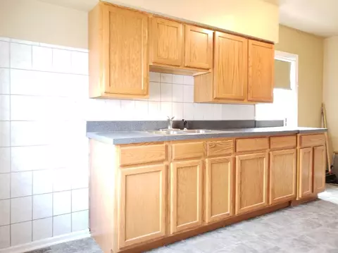 229 Roosevelt St, Gary, IN 46404 photo 28