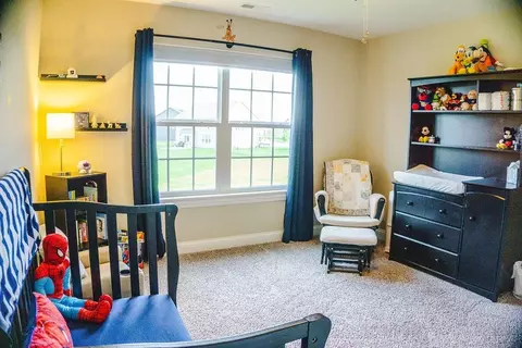 8005 W 101st Pl, Saint John, IN 46373 photo 52