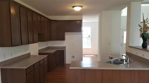 1237 Flagstone Dr, Dyer, IN 46311 photo 18