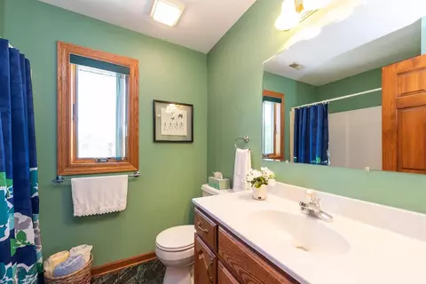 10104 Windfield Dr, Munster, IN 46321 photo 15