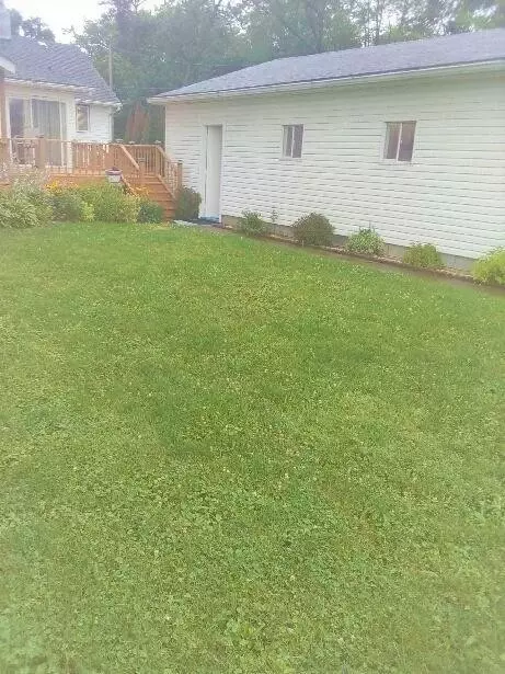 208 Cedar St, Crown Point, IN 46307 photo 4