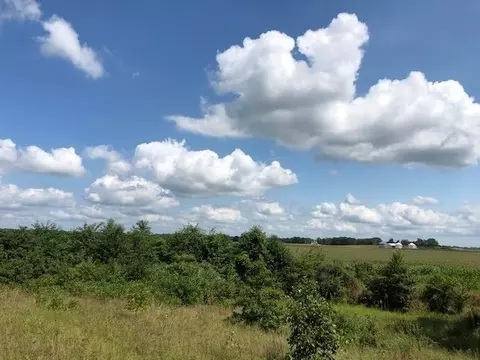 11491 N 200, Wheatfield, IN 46392 photo 8