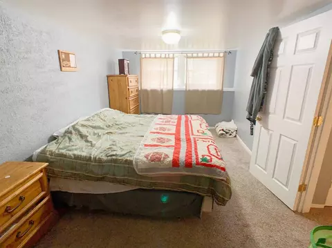 314 E Manor Dr, Griffith, IN 46319 photo 19