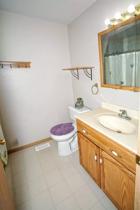 14415 Windsor St, Cedar Lake, IN 46303 photo 10