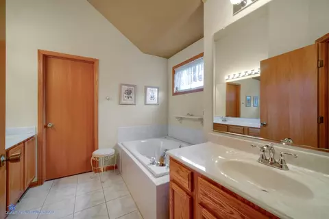 306 Timbers Bluff Trl, Beecher, IL 60401 photo 16
