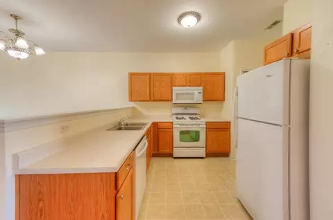 1765 Springtime Ct, Dyer, IN 46311 photo 9