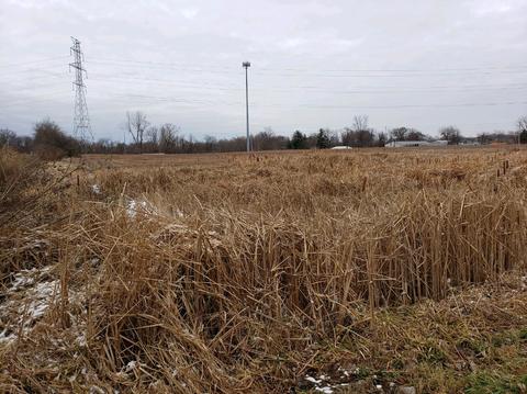 7998 E 97th Ave, Crown Point, IN 46307 photo 3