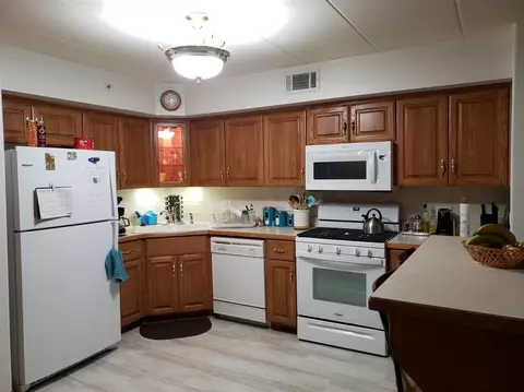 107 Swan Dr #2-E, Dyer, IN 46311 photo 16
