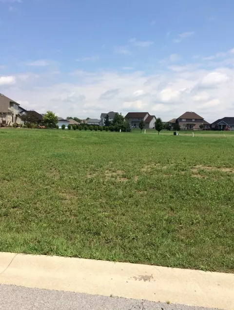 10089 Golden Crest Dr, Saint John, IN 46373 photo 4