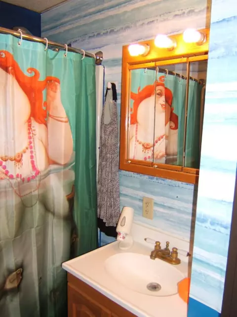 2426 Schrage Ave, Whiting, IN 46394 photo 18