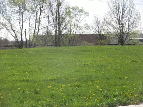 10232 New Devon St, Munster, IN 46321 photo 8