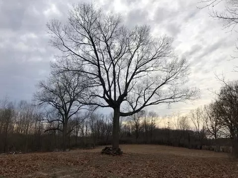 501 E 1275, Wheatfield, IN 46392 photo 3